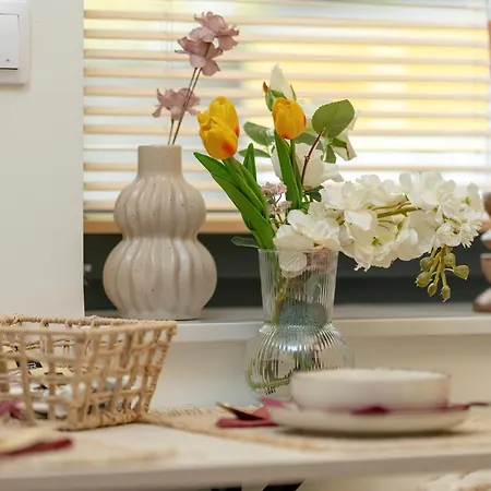 Klimatyzowane W Poznaniu Z Biurkiem Do Pracy Zdalnej By Renters * Poznań