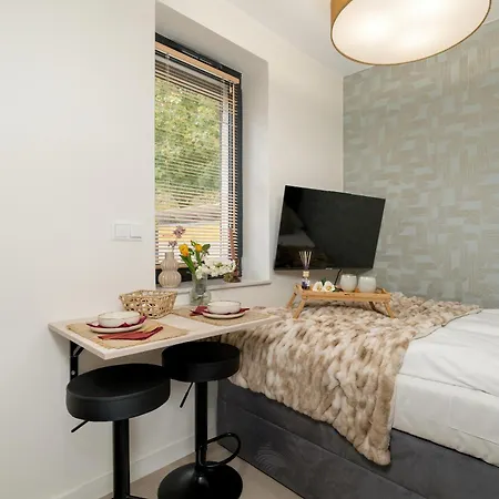 Klimatyzowane W Poznaniu Z Biurkiem Do Pracy Zdalnej By Renters Apartment Poznan